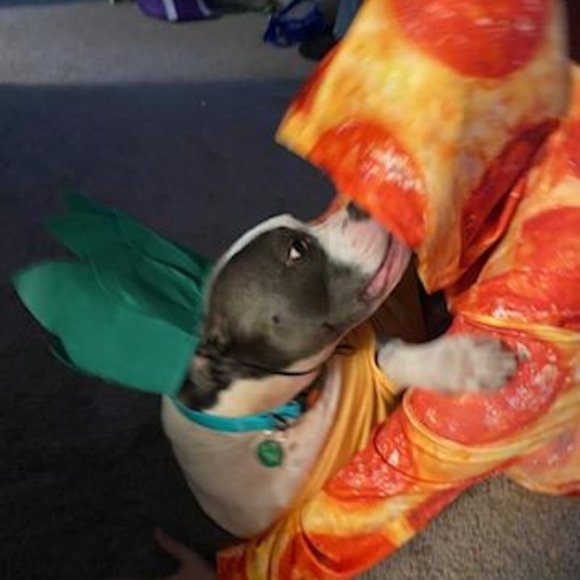 Meet your Posher, Brandy - Picture 4 of 12